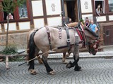 P1050380